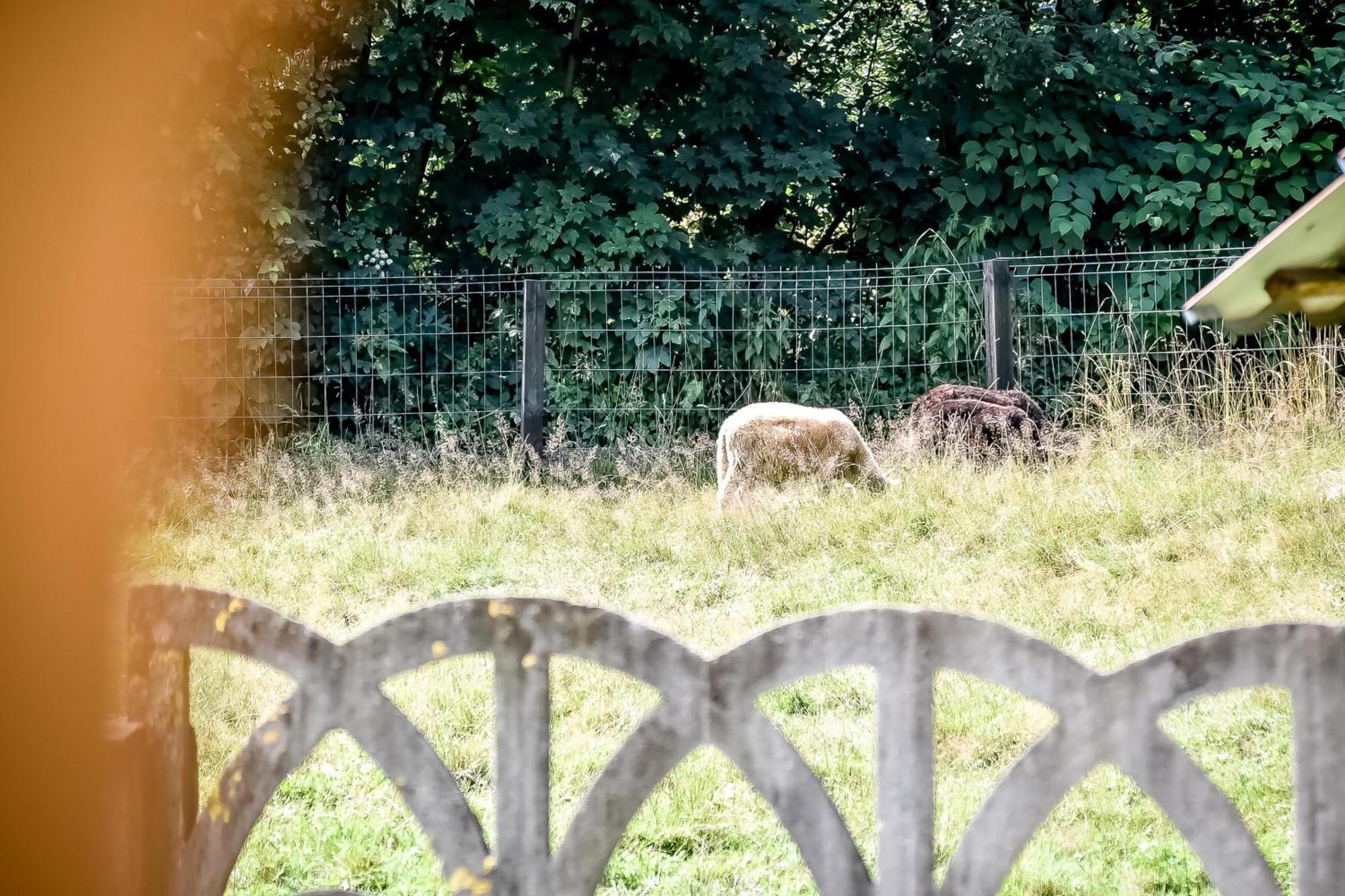 Domek Pod Brzyzkiem Białka Tatrzańska Exterior foto